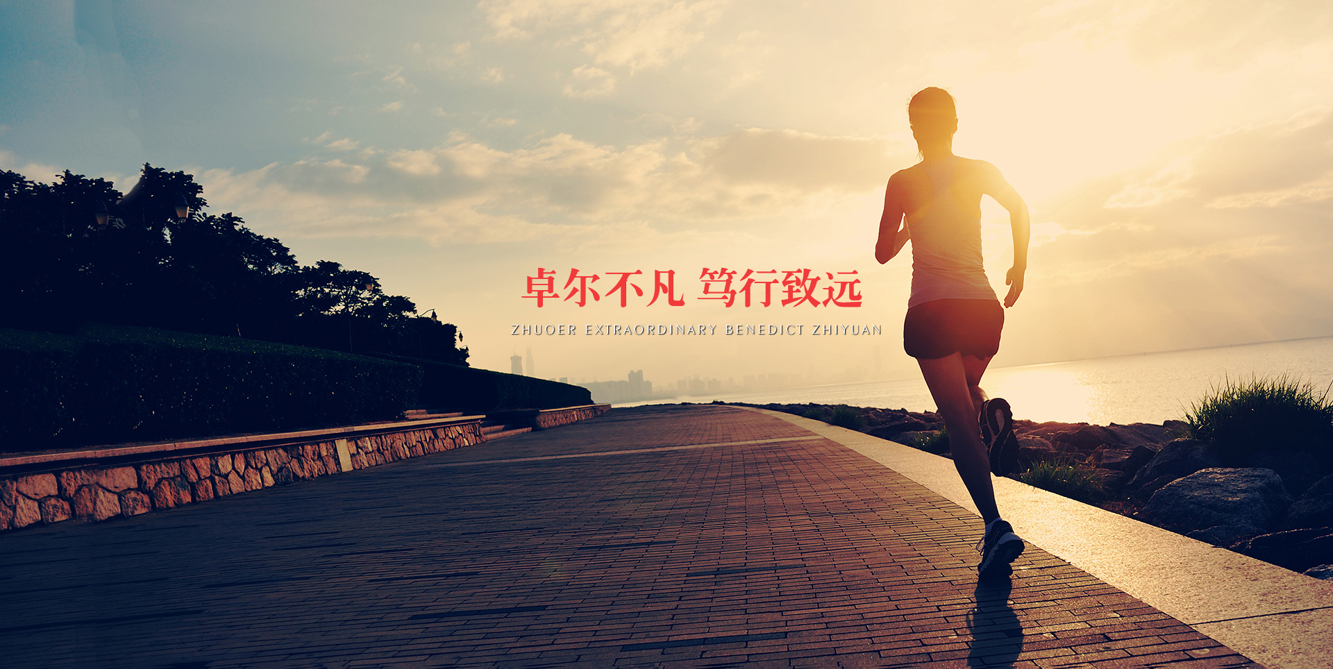 卓尔不凡