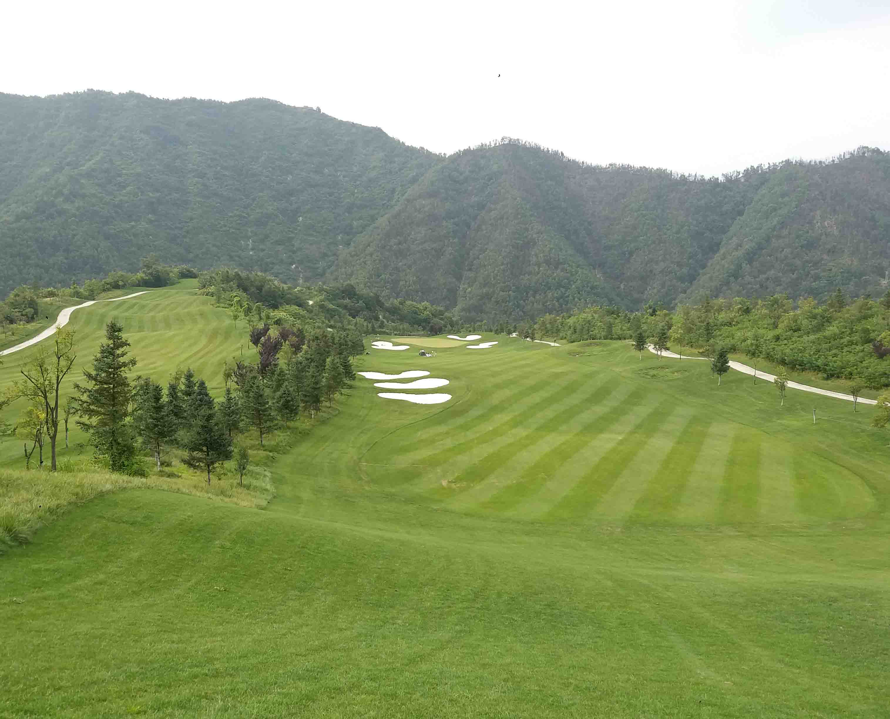 柞水鹿苑山庄创意团建基地