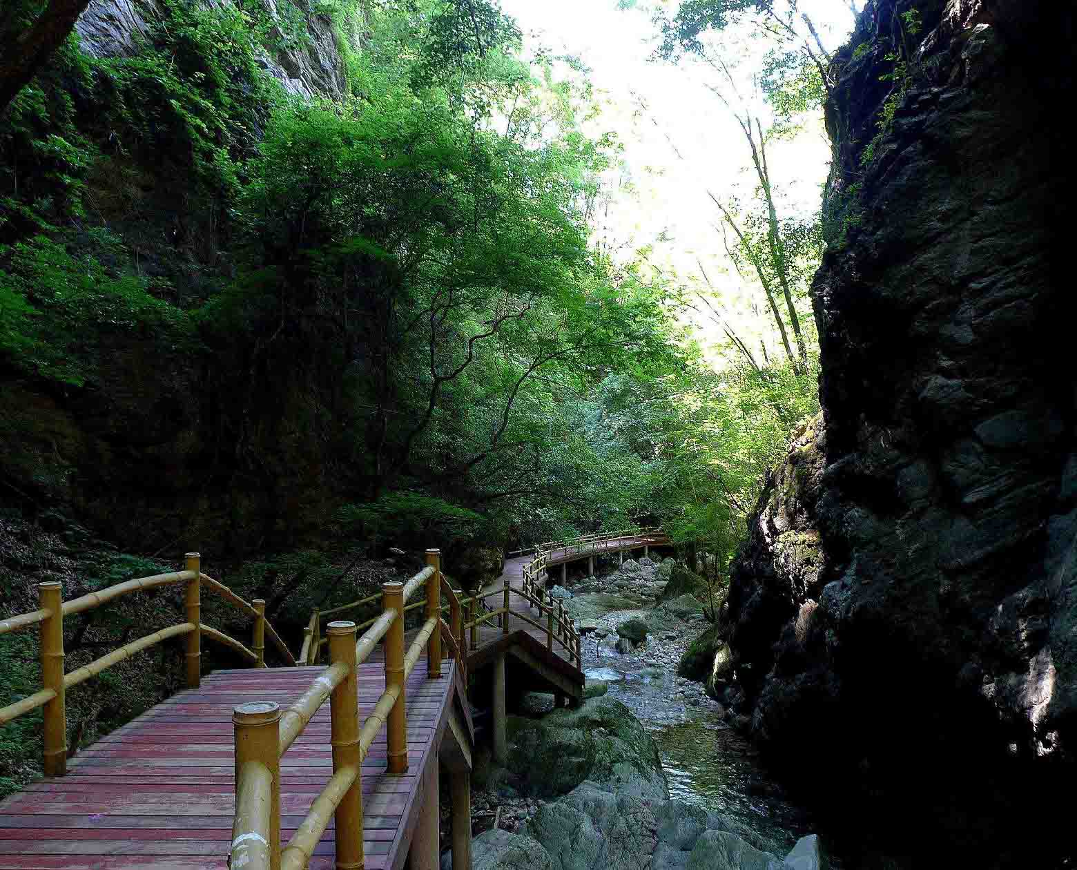 牛背梁主题团建场地
