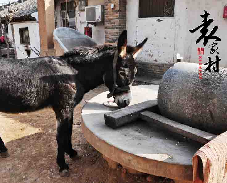 袁家村主题团建场地